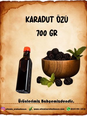 Karadut Özü (850 gr)