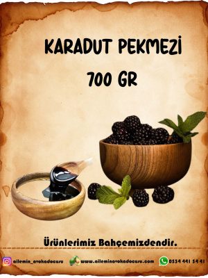 Karadut Pekmezi (850 gr)