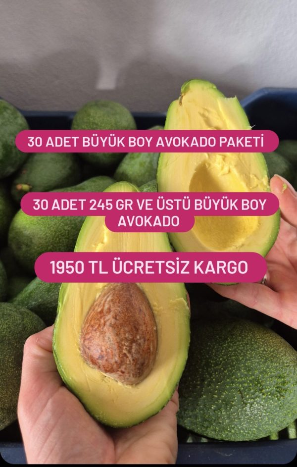 30 Adet Büyük Boy Avokado Paketi