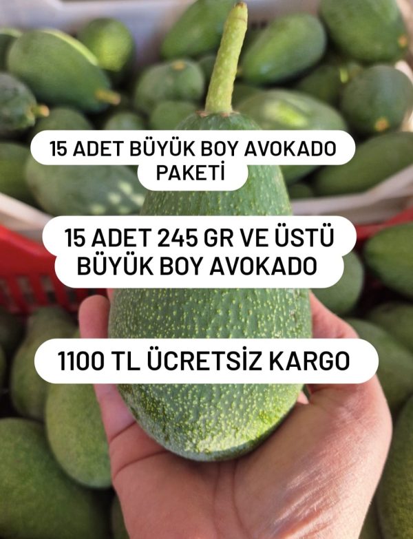 15 Adet Avokado Paketi Büyük Boy