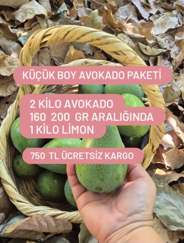 Küçük Boy Avokado Paketi