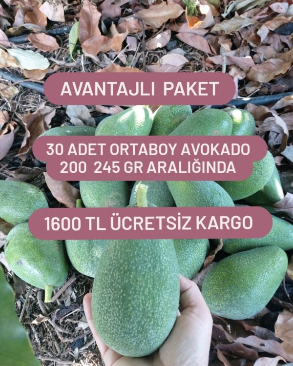 Avantajlı Paket