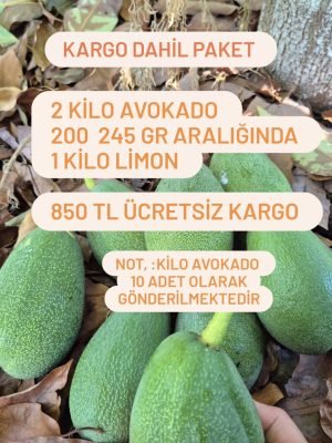 Kargo Dahil Paket