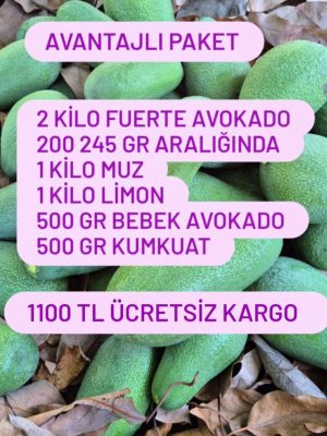 Avantajlı Paket