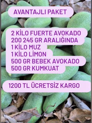 Avantajlı Paket