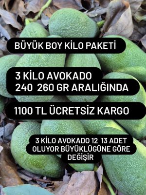 Büyük Boy Kilo Paketi