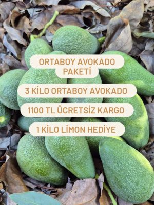 Ortaboy Avokado Paketi