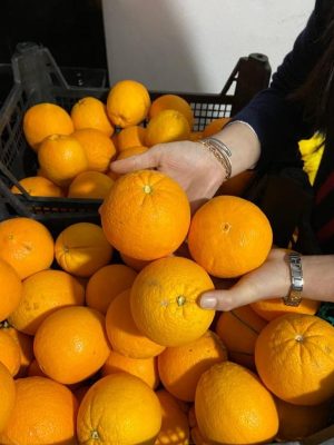 1 kilo sıkmalık portakal 90 TL