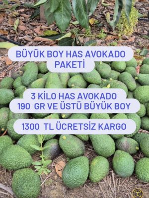 Büyük Boy Has Avokado Paketi