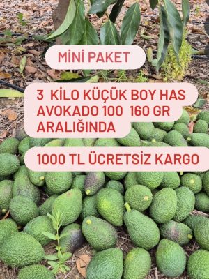 Mini Paket
