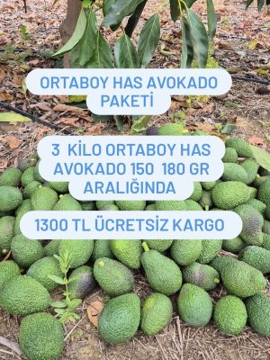 Ortaboy Has Avokado Paketi