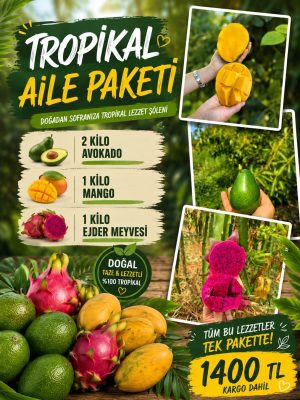 Tropikal Aile Paketi