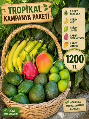 Tropikal Kampanya Paketi