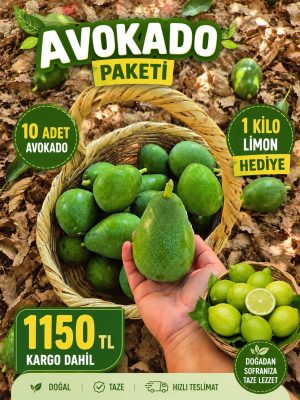 Avokado Paketi