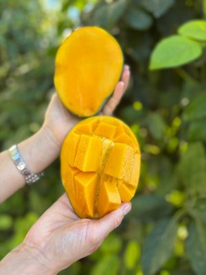 1 Kilo Mango