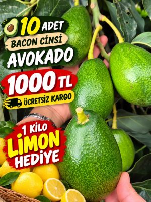 10 Adet Bacon Cinsi Avokado