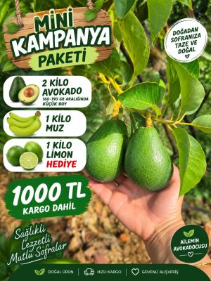 Mini Kampanya Paketi