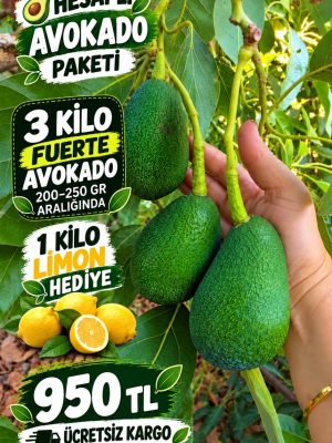Hesaplı Avokado Paketi