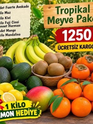 Tropikal Meyve Paketi